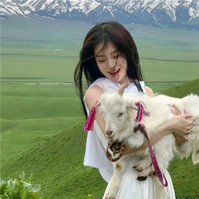 约定的梦幻岛 海报
